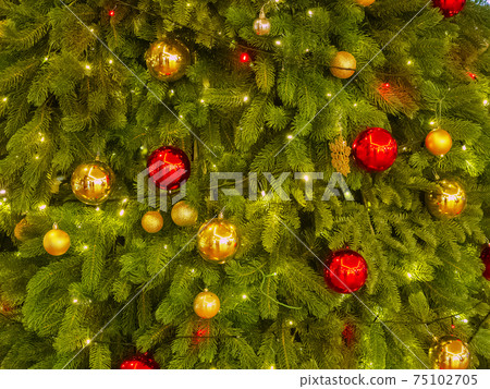 Thick Christmas tree decorated with red and gold balls illuminated by garland Thick Christmas tree decorated with red and gold balls illuminated by garland 75102705