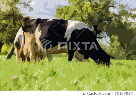 Illustration of spotted cow grazes in green meadow Illustration of spotted cow grazes in green meadow 75104084