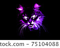 Purple face of angry cat on black background 75104088