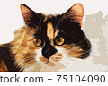 Abstract image of cat in brush drawing style portrait closeup 75104090