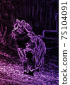 Abstract image of purple cat on ablack background 75104091