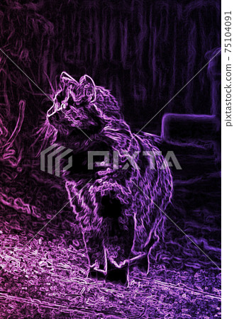 Abstract image of purple cat on ablack background Abstract image of purple cat on ablack background 75104091