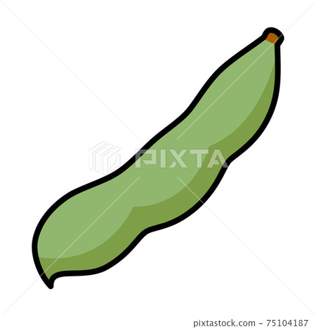 Broad beans 1 pod white background cut illustration material 75104187