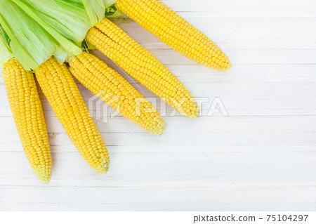 A close-up of corn produced in a rustic garden A close-up of corn produced in a rustic garden 75104297