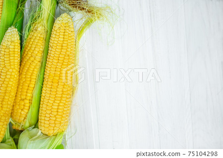 A close-up of corn produced in a rustic garden A close-up of corn produced in a rustic garden 75104298