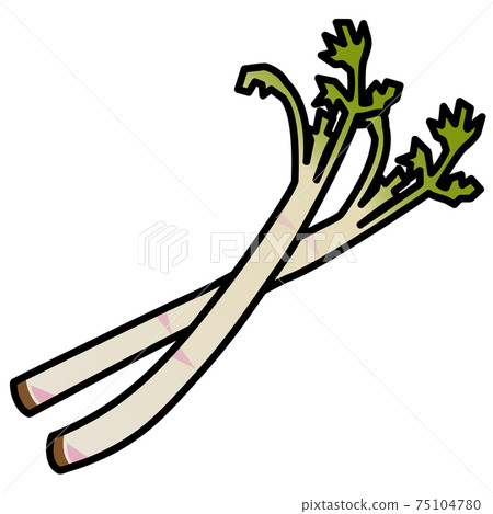 2 udo白色背景切割插圖素材 75104780