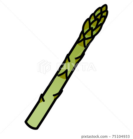 1 asparagus white background cut illustration material 75104933