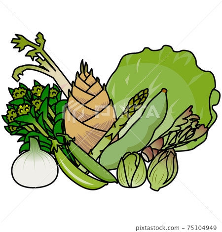 Vegetables in season in spring Summary White background cut illustration material Vegetables in season in spring Summary White background cut illustration material 75104949