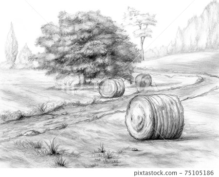 Graphite rural landscape with haystacks Graphite rural landscape with haystacks 75105186