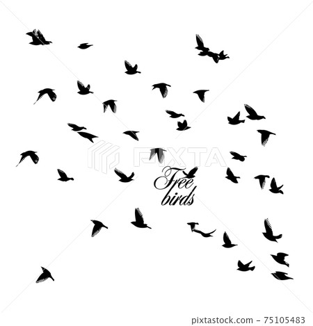 A large flock of flying birds. Free birds. Vector illustration 75105483