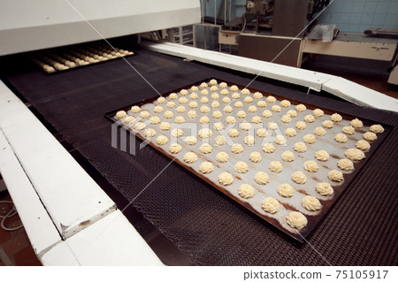 A tray of ready-made cookies is taken from the conveyor belt in the bakery A tray of ready-made cookies is taken from the conveyor belt in the bakery 75105917