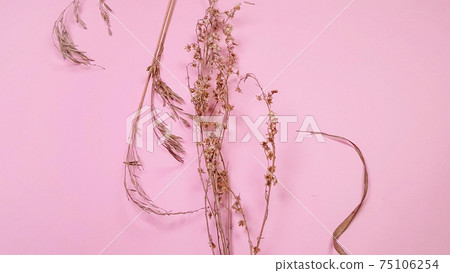 Dry grass for flower arrangement, on pink background, DIY concept, top view, copy space, banner 75106254