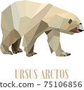 Polar Bear 75106856