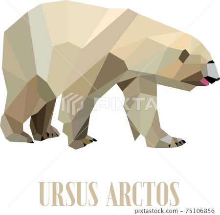 Polar Bear 75106856