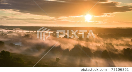 Sunrise of meadow with forest in sunlight and mist 75106861