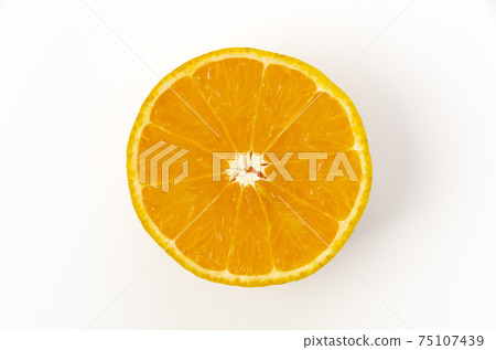 Tankan Tankan 75107439
