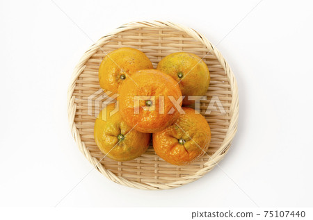 Tankan Tankan 75107440
