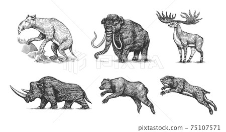 Mammoth or extinct elephant, Woolly rhinoceros Cave bear lion. Panthera Saber toothed tiger, Irish 75107571