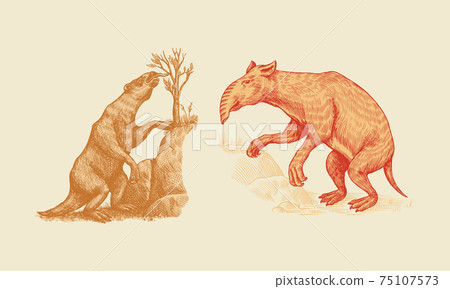 Ground sloth or Megatheriidae and Palorchestes with a trunk. Marsupials of the family Palorchestidae 75107573