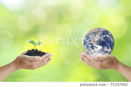Exchange of planets in the hands of humans with young plants in the hands of humans, concept of Earth Day and Conservation of the Environment.Elements of this image decorated by NASA. Exchange of planets in the hands of humans with young plants in the hands of humans, concept of Earth Day and Conservation of the Environment.Elements of this image decorated by NASA. 75107902