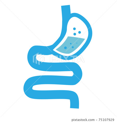 healthy digestion logo. stomach icon on white background. human stomach and gastrointestinal system. flat style. 75107929