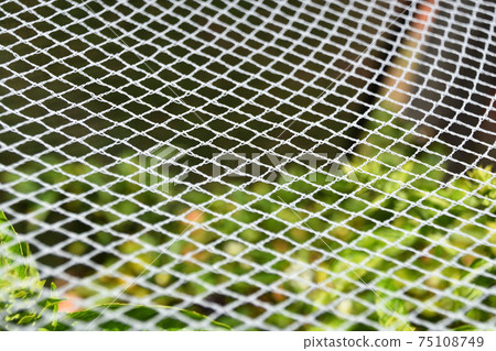 White garden netting texture 75108749