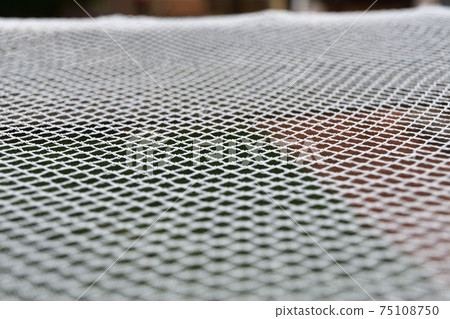White garden netting texture 75108750