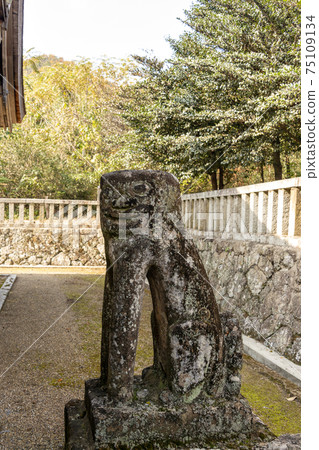 兵庫縣三田市高梅府神社的Komainu 75109134