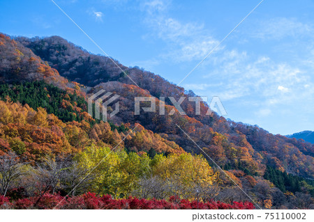 Autumn scenery near Yubiso Park 75110002