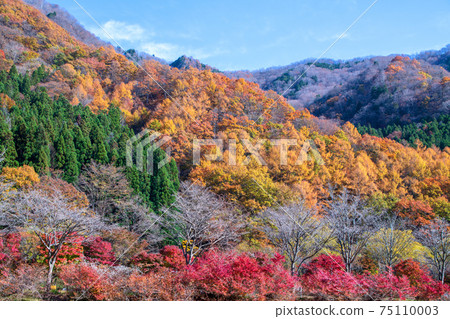 Autumn scenery near Yubiso Park 75110003