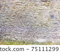 Wood texture background surface old natural pattern 75111299