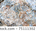 Close up natural rock texture 75111302