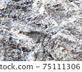 Close up natural rock texture 75111306