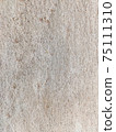 the texture of the concrete 75111310