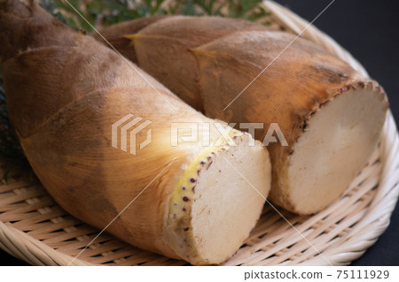 Raw bamboo shoots (up) 75111929