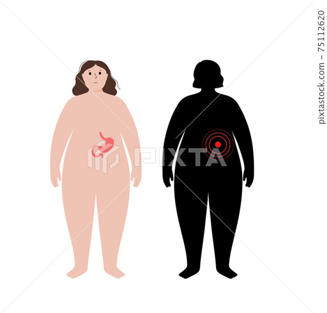 Organs in obese human body Organs in obese human body 75112620