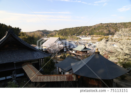 Horoji Temple Horoji Temple 75113151