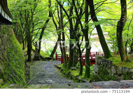 Ryokaizan Yokokura Temple Walk 92 (Yokokura, Ibigawa-cho, Ibi-gun, Gifu Prefecture) 75113194