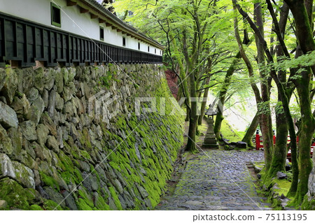 Ryokaizan Yokokura Temple Walk 93 (Yokokura, Ibigawa-cho, Ibi-gun, Gifu Prefecture) Ryokaizan Yokokura Temple Walk 93 (Yokokura, Ibigawa-cho, Ibi-gun, Gifu Prefecture) 75113195
