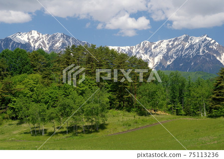Jiigatake and Kashimayarigadake wearing fresh greenery seen from the Nakayama plateau in Shinshu spring Jiigatake and Kashimayarigadake wearing fresh greenery seen from the Nakayama plateau in Shinshu spring 75113236