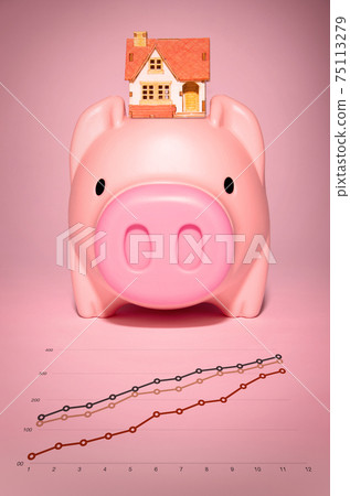 Savings and real estate Savings and real estate 75113279