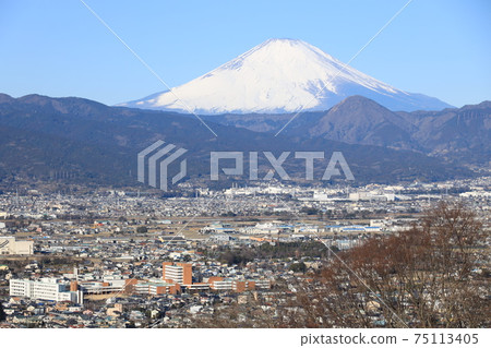 小田原市蘇我梅林橋觀景台上的富士山和李子 小田原市蘇我梅林橋觀景台上的富士山和李子 75113405
