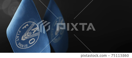 Small national flags of the Food and agriculture organization on a dark background Small national flags of the Food and agriculture organization on a dark background 75113860
