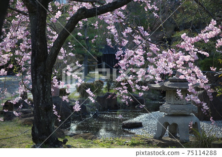 Katsuruji Castle Park Katsuruji Castle Park 75114288