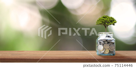 Growing plant on a money bottle on a wooden table top with bokeh.Blurred green nature background. 75114446