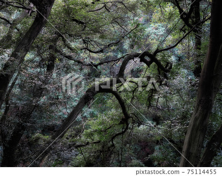 Live well on the slope 75114455