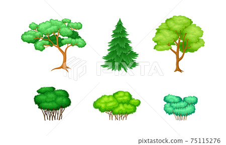 Trees with Exuberant Green Foliage and Trunk Vector Set Trees with Exuberant Green Foliage and Trunk Vector Set 75115276