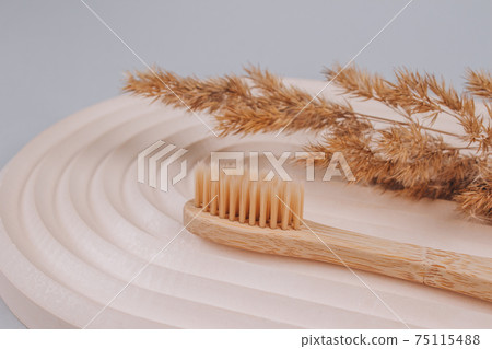Natural bamboo toothbrush and dried flowers on biege plaster mold against gray background with copy space. Sustainable lifestyle, zero waste home. Selective focus Natural bamboo toothbrush and dried flowers on biege plaster mold against gray background with copy space. Sustainable lifestyle, zero waste home. Selective focus 75115488