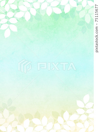 Background material_Konoha Fresh green Young leaves Green leaves 75115677
