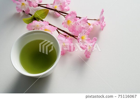 Green tea cherry blossom white background Green tea cherry blossom white background 75116067